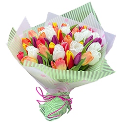 заказать Тюльпаны