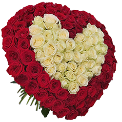заказать Букеты из 101 розы