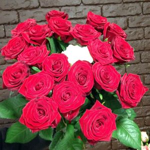 21 троянда в Івано-Франківську фото