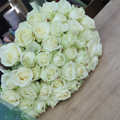 51 біла троянда в Івано-Франківську фото