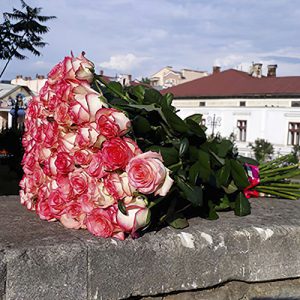 51 ніжно-рожева троянда Івано-Франківськ фото