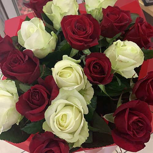 букет 21 червона і біла троянда в Івано-Франківську фото