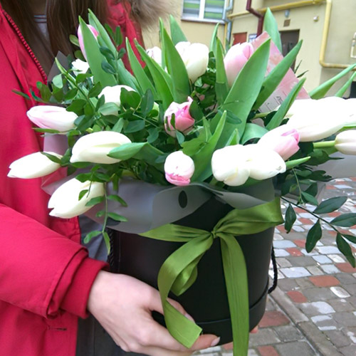 25 тюльпанов в коробке фото