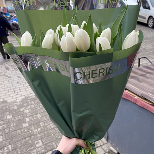 букет білих тюльпанів фото