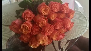 помаранчеві троянди помаранчеві троянди фото