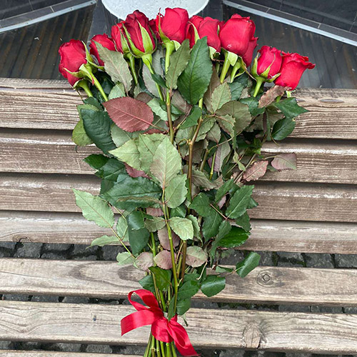 букет троянд зі стрічкою фото