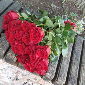 21 красная роза в ИФ фото