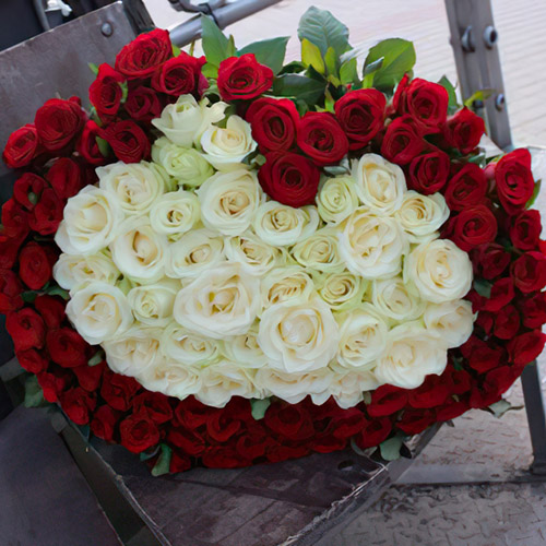 101 троянда серце біла та червона фото
