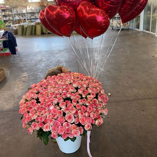 фото букета 301 трояндова троянда у вазоні