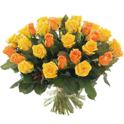 💰 Купити 51 жовта і персикова троянда за 5000 грн. в Івано-Франківську з доставкою | «Роза ІФ»