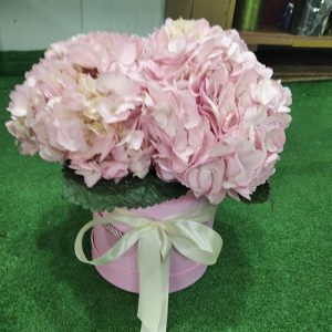 букет рожеві гортензії в капелюшній коробці в Івано-Франківську фото