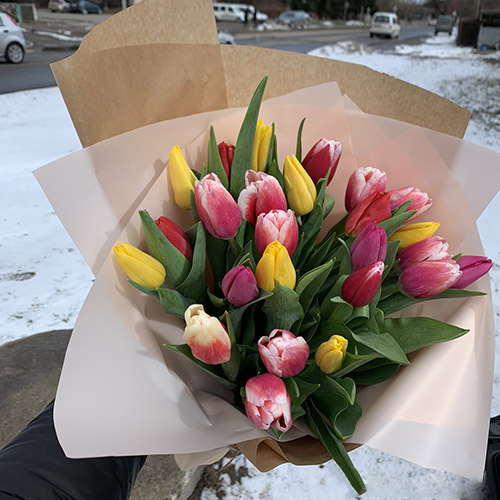 25 разноцветных тюльпанов в ИФ фото