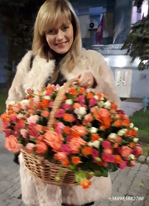 101 кущова троянда в кошику 101 кущова троянда в кошику фото доставки в Івано-Франківську