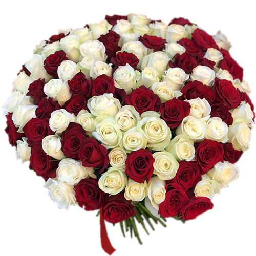 Фото товара 101 червона і біла троянда в Івано-Франківську