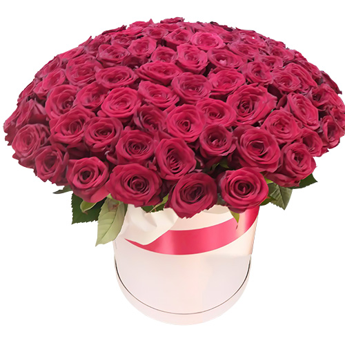Фото товара 101 троянда червона в капелюшній коробці в Івано-Франківську