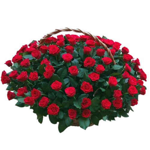 Фото товара 101 червона троянда в кошику в Івано-Франківську