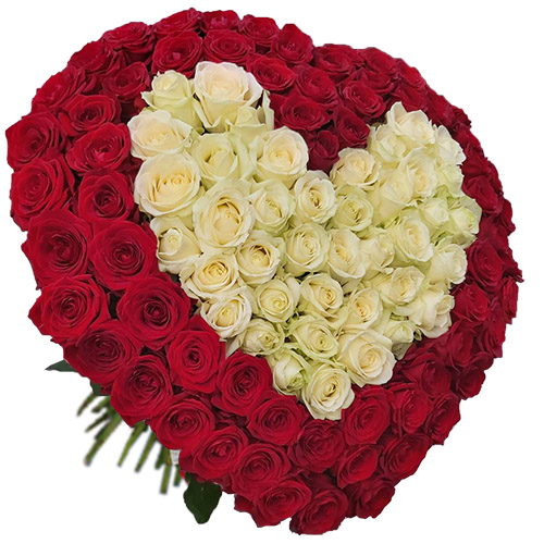 Фото товара Серце 101 троянда - червона і біла в Івано-Франківську