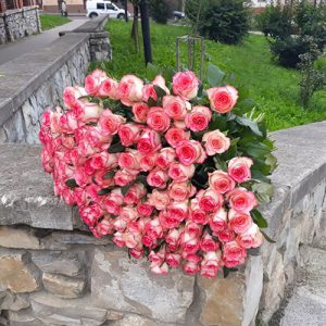 101 бело-розовая роза фото букета