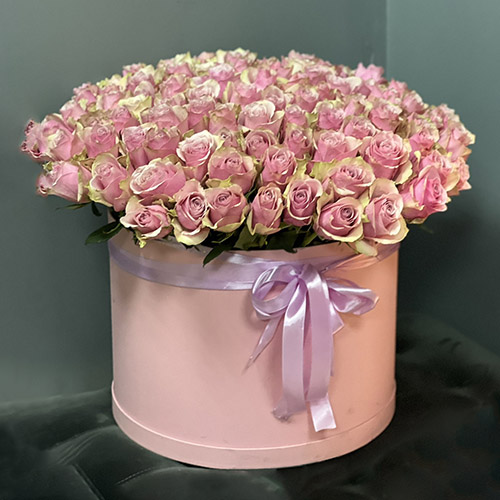 101 ніжно-рожева троянда в коробці фото