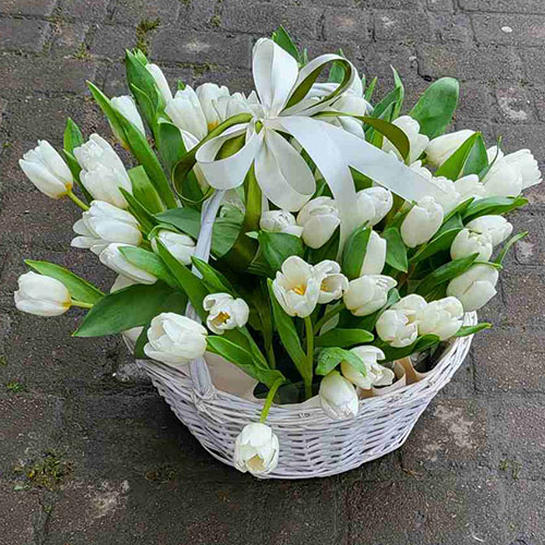 фото товара 51 тюльпан в корзине