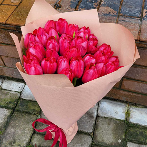 фото товара 25 красных тюльпанов