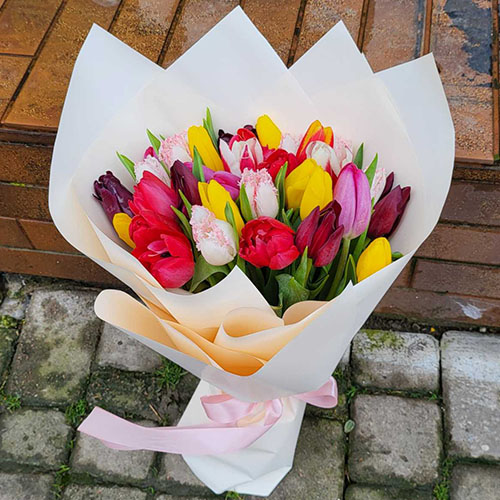 фото товара 25 тюльпанов микс